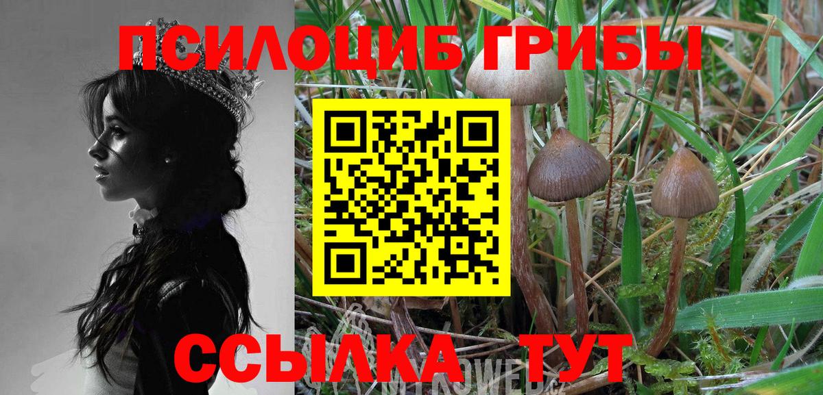 Галлюциногенные грибы мицелий Киреевск