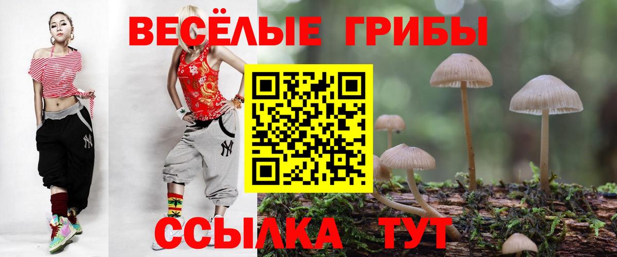 Киреевск  Псилоцибиновые грибы GOLDEN TEACHER  Вход с VPN 